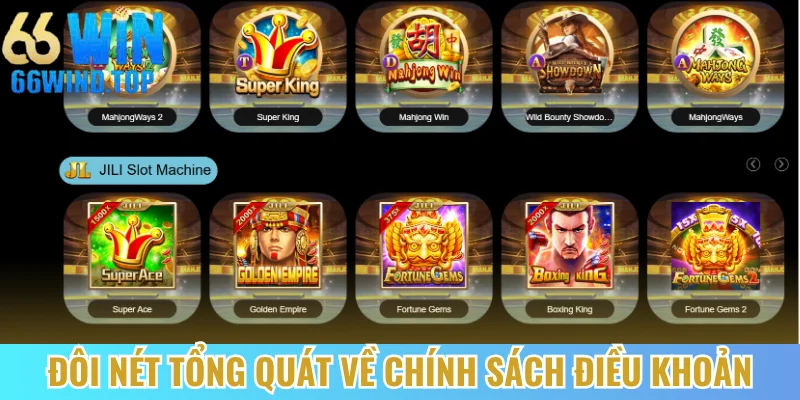 Đôi nét tổng quát về chính sách điều khoản