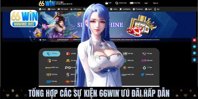 Điều gì khiến các sự kiện ưu đãi hấp dẫn đến vậy